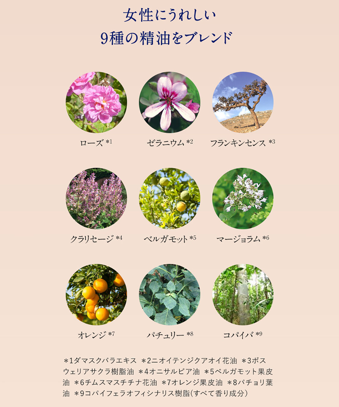NEAL&rsquo;S YARD REMEDIES「ウーマンズバランス ボディクリーム　200ｍL」|ボディ保湿|