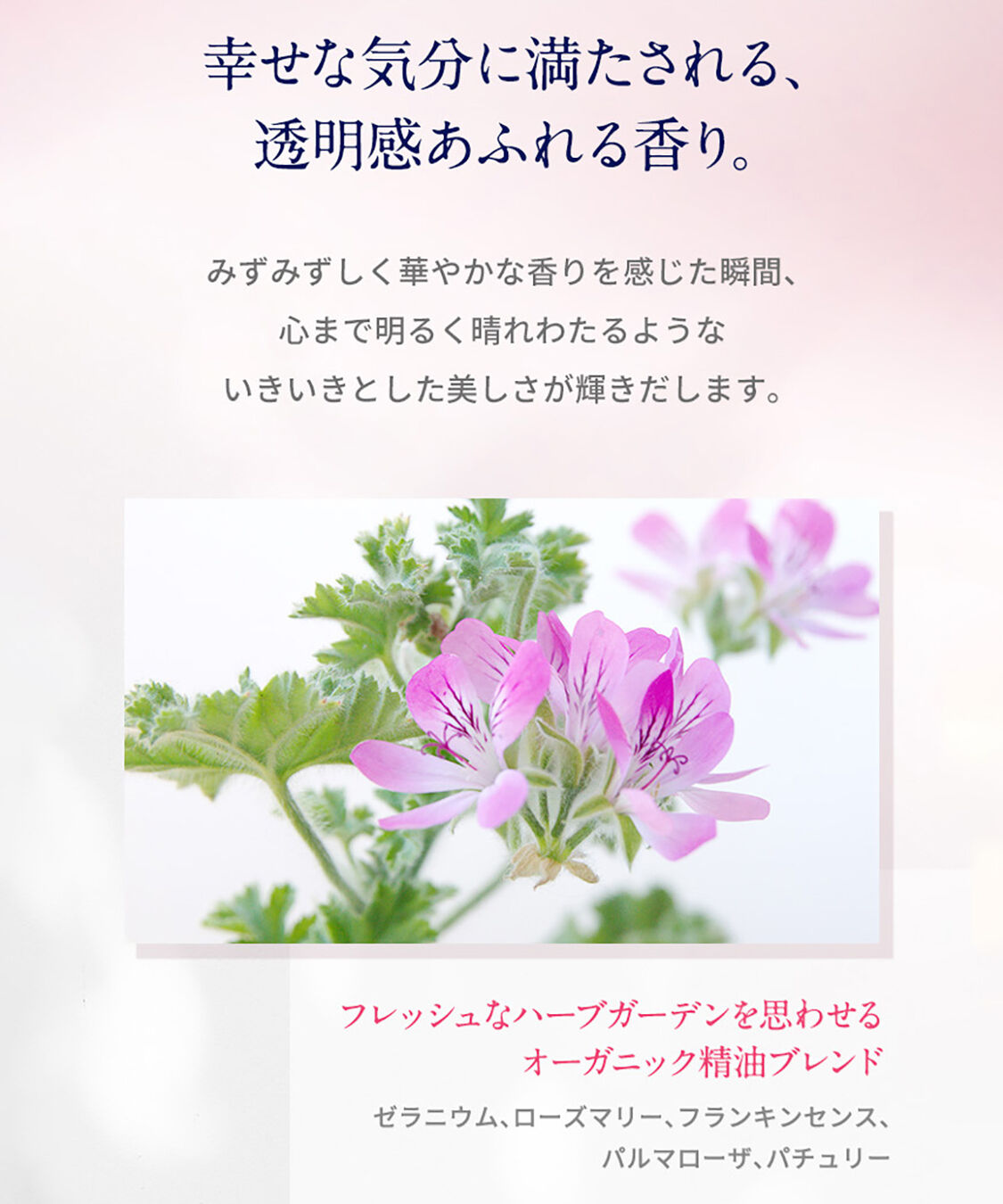 NEAL&rsquo;S YARD REMEDIES「ワイルドローズ AHAウォーター 200ml」|化粧水|