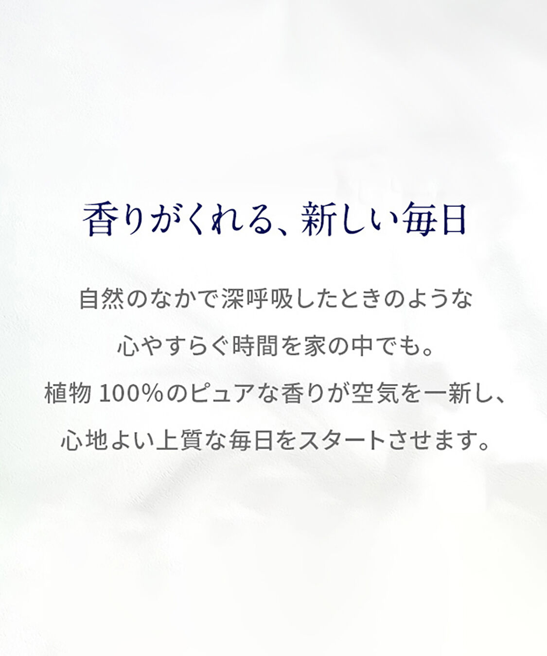 NEAL&rsquo;S YARD REMEDIES「リードフレグランスディフューザー バランシング 200mL」|アロマ・ルームフレグランス|