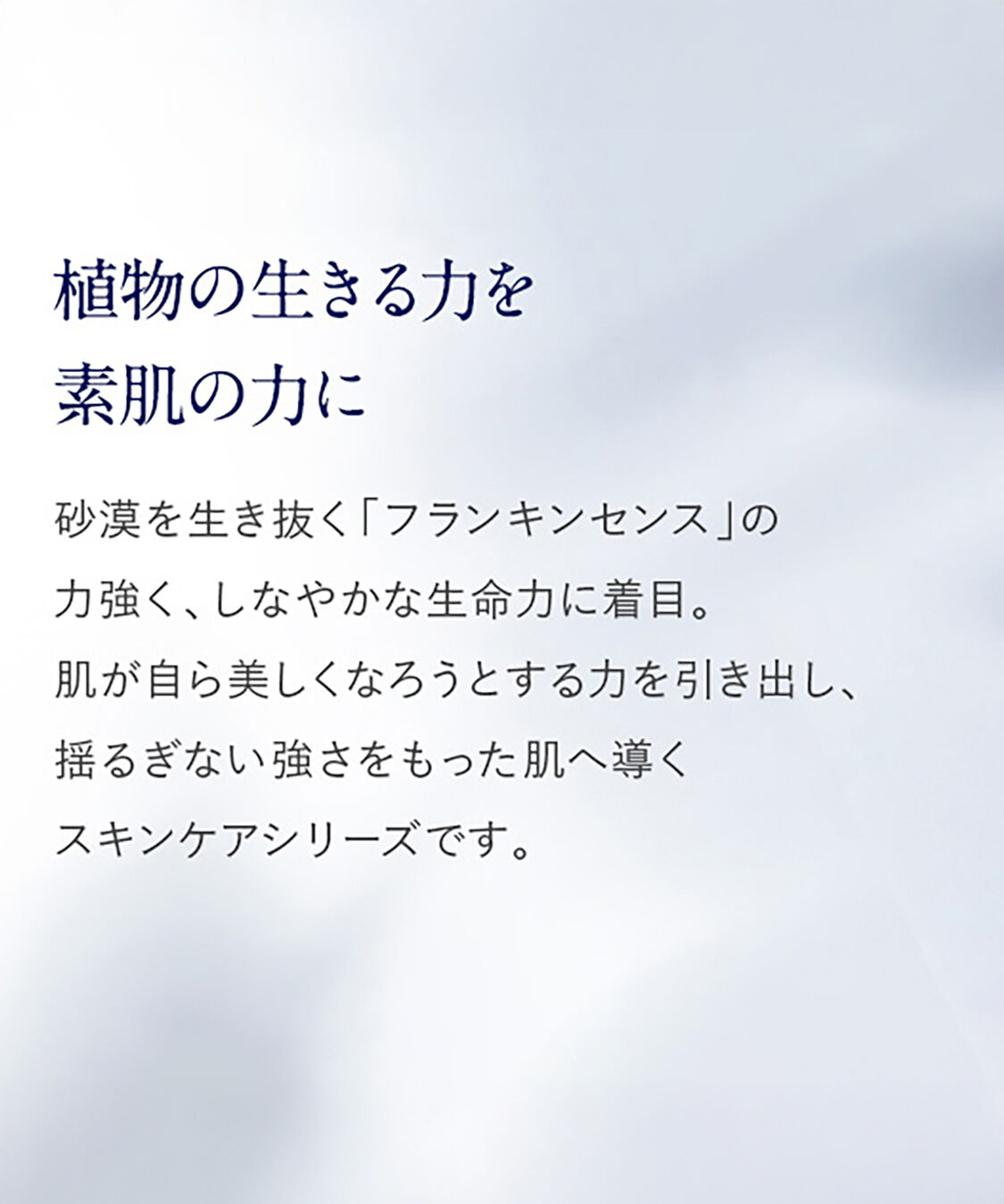 NEAL&rsquo;S YARD REMEDIES「フランキンセンス ハイドレイティング フェイシャルミスト 45mL」|化粧水|