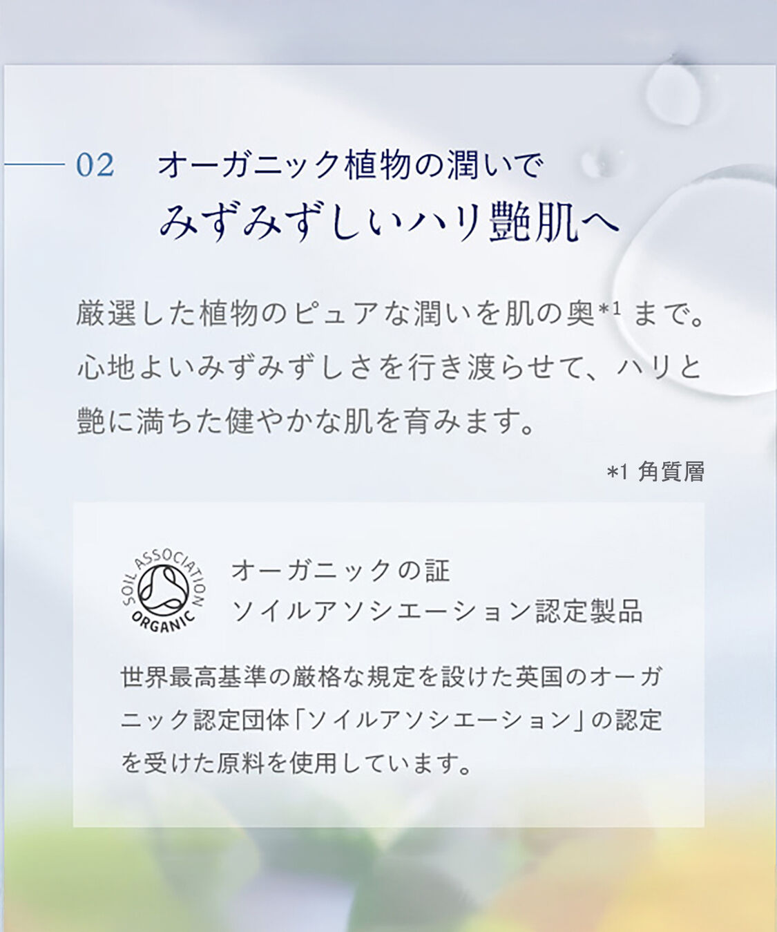 NEAL&rsquo;S YARD REMEDIES「フランキンセンス ハイドレイティング フェイシャルミスト 45mL」|化粧水|