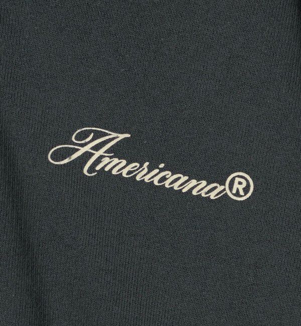 BEAUTY&YOUTH UNITED ARROWS「【別注】＜Americana＞ハーフジップ スウェット プルオーバー」|スウェット・ジャージ|
