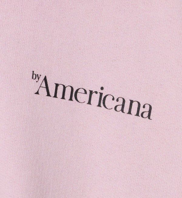 BEAUTY&YOUTH UNITED ARROWS「【別注】＜Americana＞ハーフジップ スウェット プルオーバー」|スウェット・ジャージ|