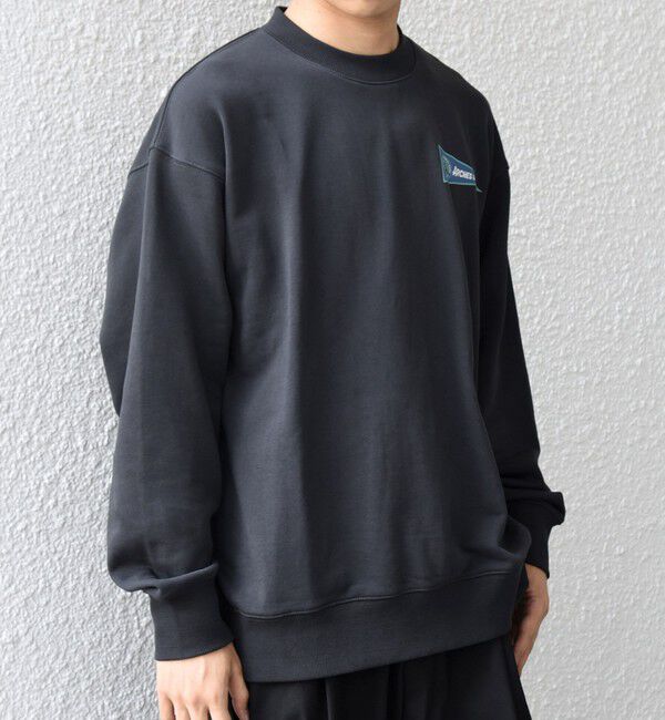 SHIPS any「【WEB限定】SHIPS any: NATIONAL PARK プリント スウェット 25AW(ユニセックス)◇」|スウェット・ジャージ|
