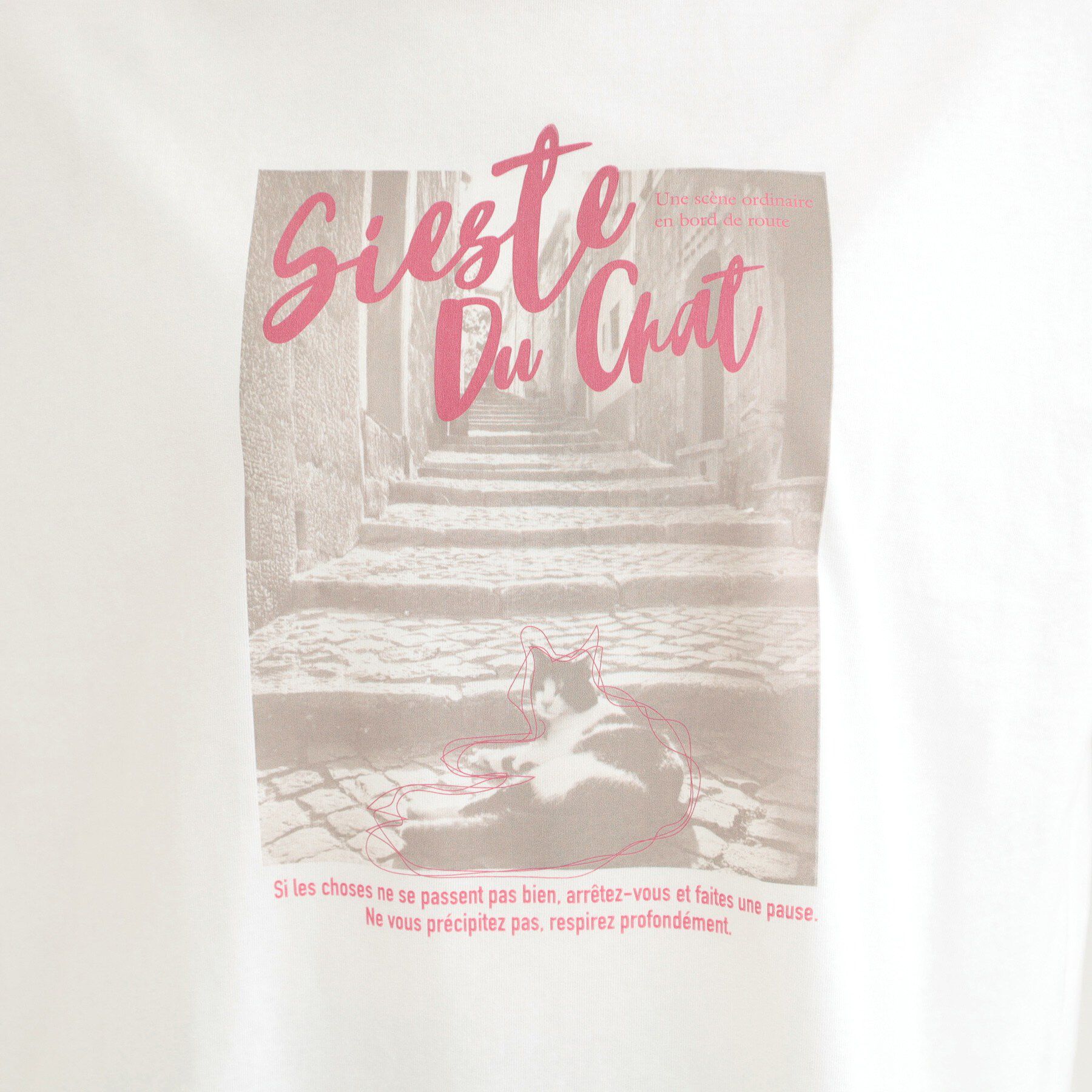 SHOO･LA･RUE「【綿100％/S-LL/プチプラ】選べる3柄 プリントアソートTシャツ」|Tシャツ・カットソー|