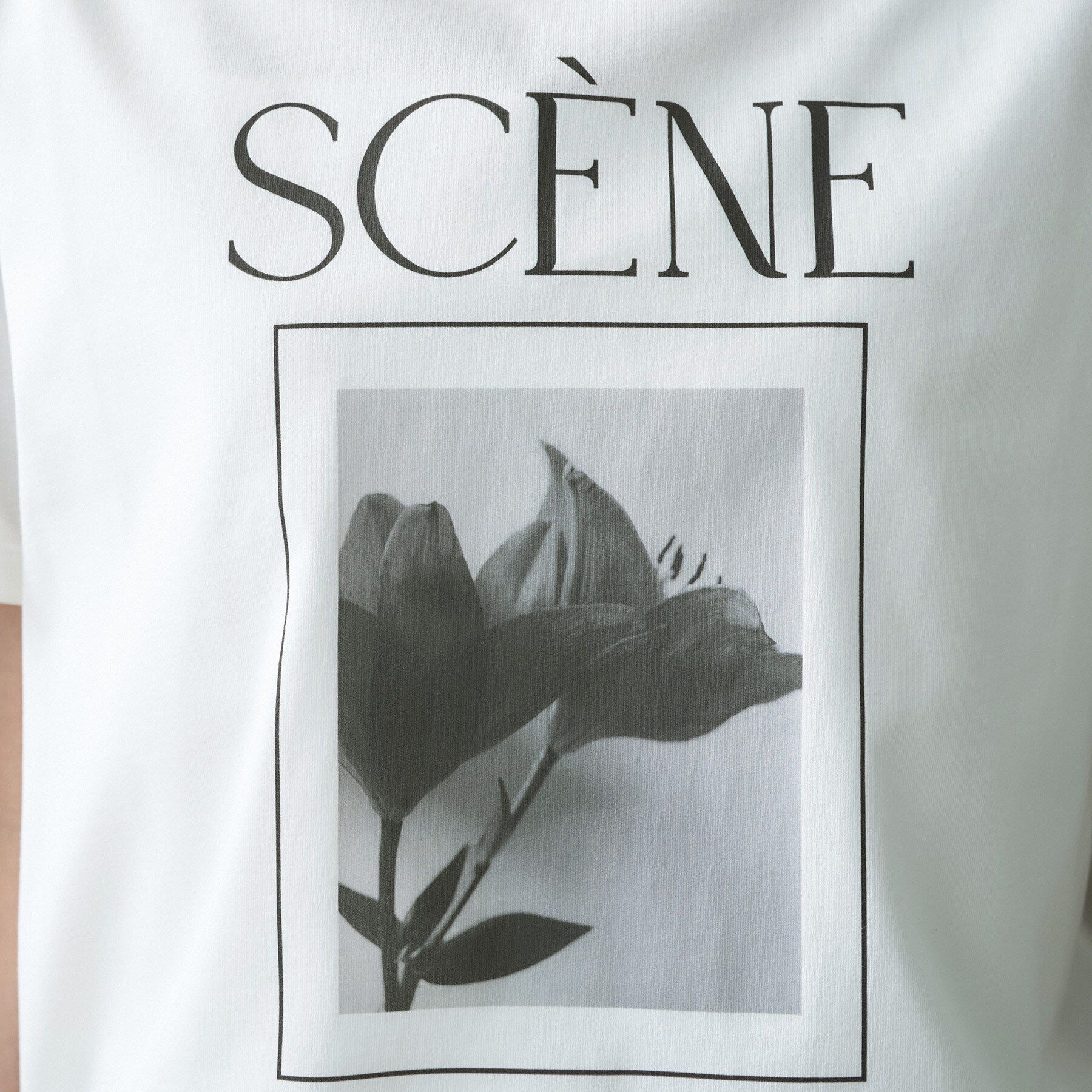 UNTITLED「【ロゴ/プリント】グラフィックTシャツ」|Tシャツ・カットソー|