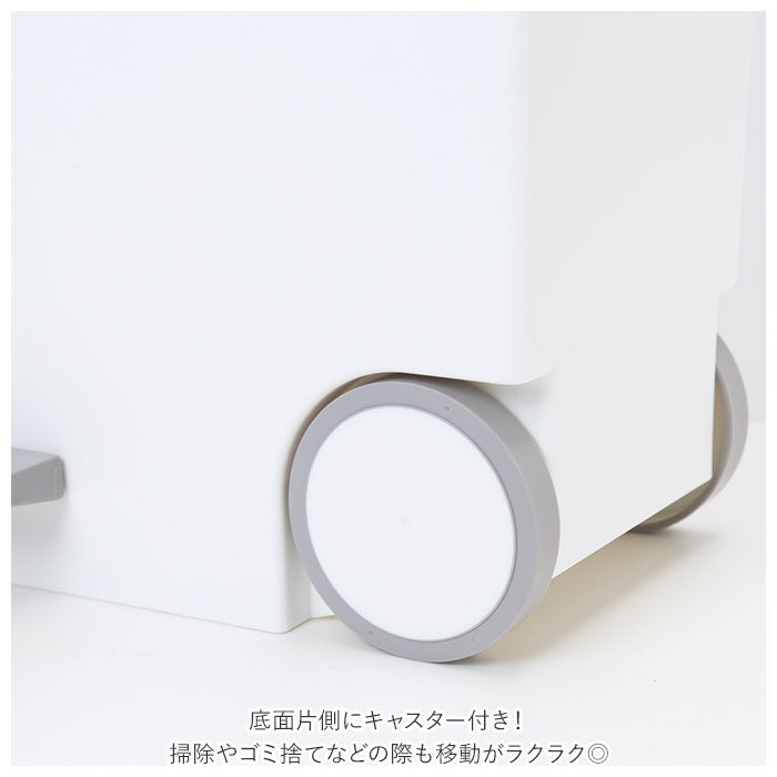 BACKYARD FAMILY「キッチン ゴミ箱 ペダル 33L 通販 ごみ箱 スリム 分別 ペダル式ゴミ箱 低く開く」|ダストボックス|