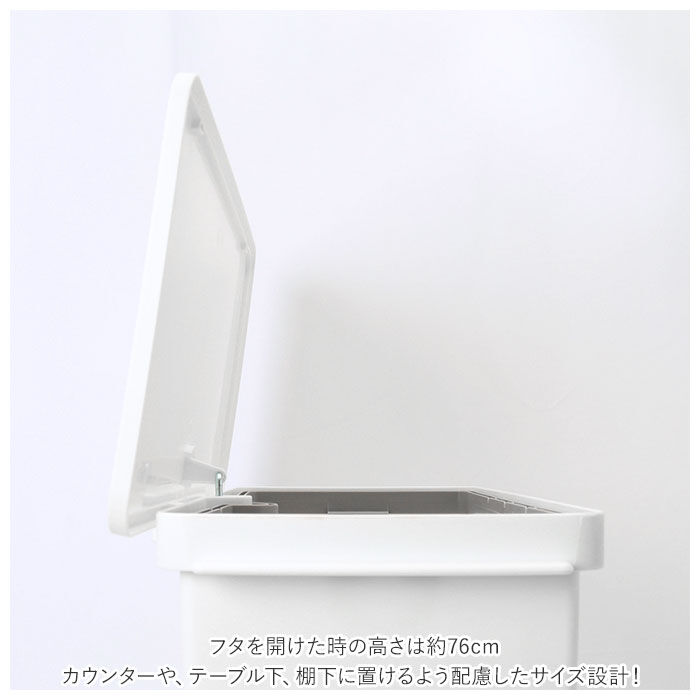 BACKYARD FAMILY「キッチン ゴミ箱 ペダル 33L 通販 ごみ箱 スリム 分別 ペダル式ゴミ箱 低く開く」|ダストボックス|