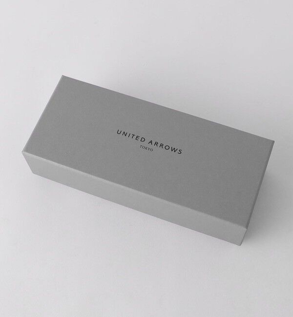 BEAUTY&YOUTH UNITED ARROWS「【別注】＜KANEKO OPTICAL（金子眼鏡）＞Matt マット サングラス」|サングラス|