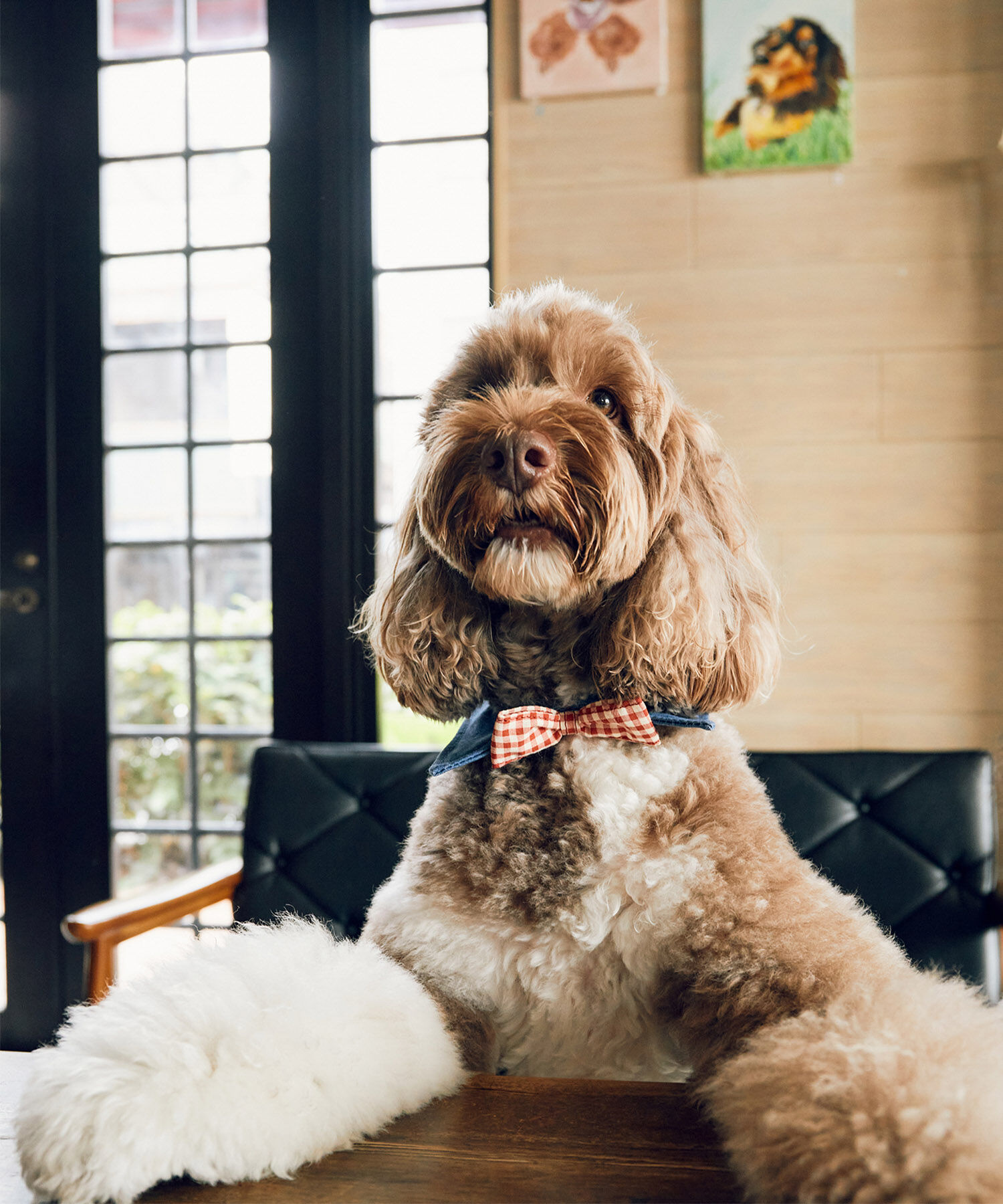ROPE PICNIC PASSAGE「【comif(コミフ)&times;ROPE' PICNIC】【DOG】襟付き蝶ネクタイ」|その他|