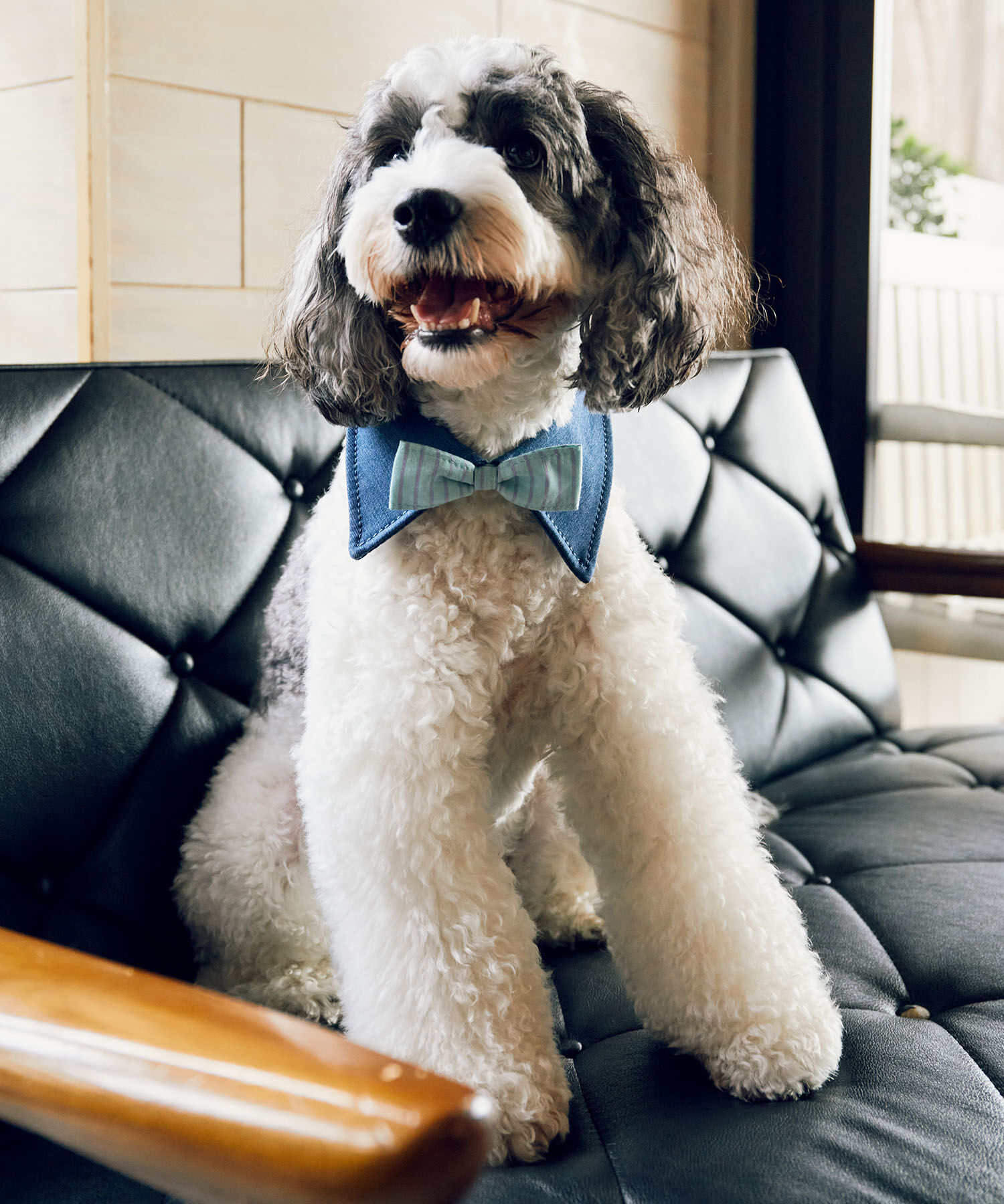 ROPE PICNIC PASSAGE「【comif(コミフ)&times;ROPE' PICNIC】【DOG】襟付き蝶ネクタイ」|その他|