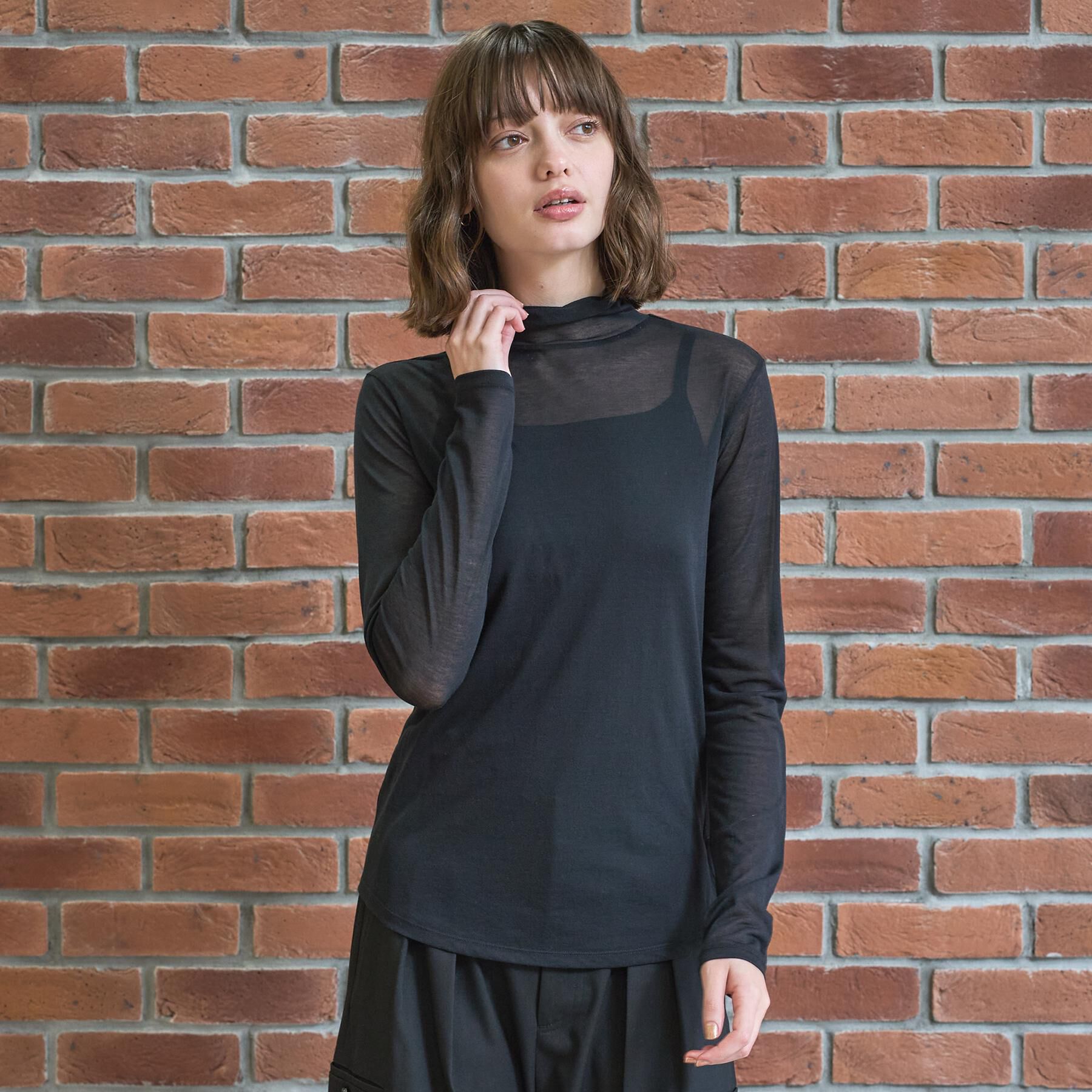 DRESSTERIOR「【STORY11月号掲載】シアータートル」|Tシャツ・カットソー|