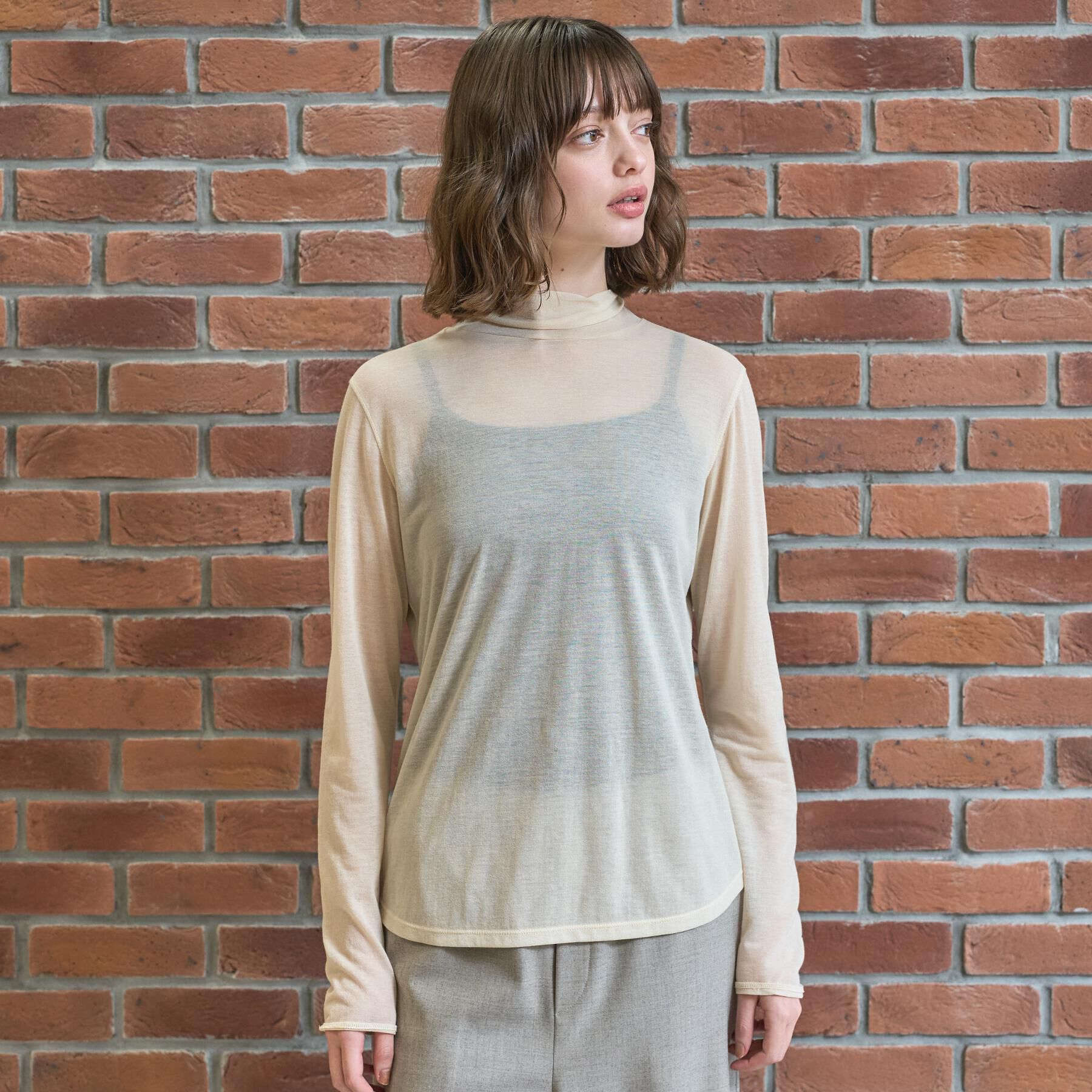 DRESSTERIOR「【STORY11月号掲載】シアータートル」|Tシャツ・カットソー|