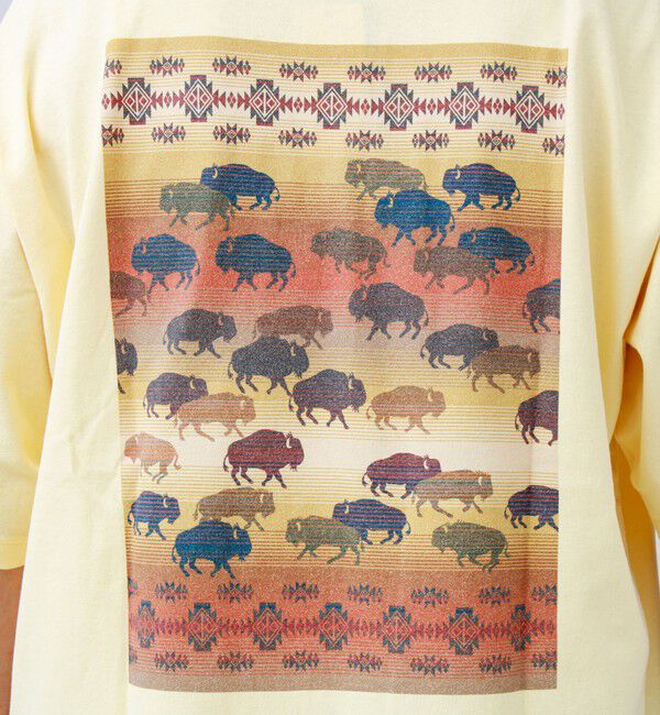 GLOSTER「【PENDLETON/ペンドルトン】Back Print Tee」|Tシャツ・カットソー|