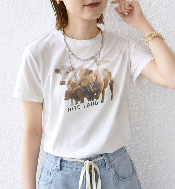 SHIPS for women「【SHIPS別注】ACASAM: フォト TEE」|Tシャツ・カットソー|ホワイト系