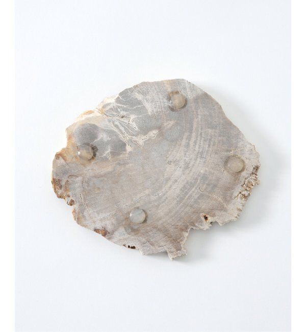 journal standard Furniture「PETRIFIED WOOD PLATE ウッドプレートS」|香水・フレグランス|
