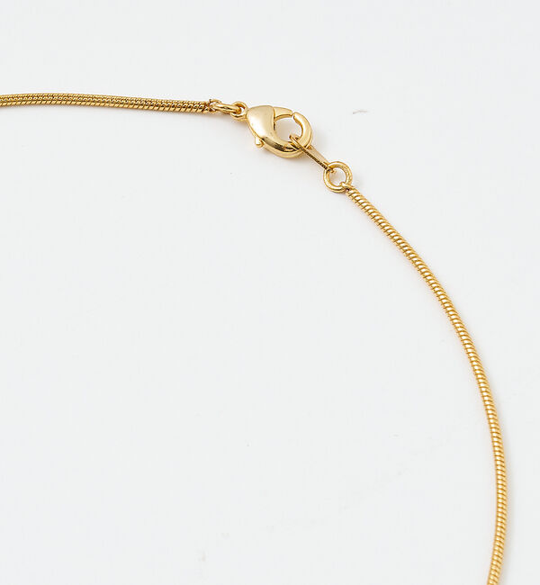 collex「【dignif】【金属アレルギー対応】コインネックレス」|ネックレス|