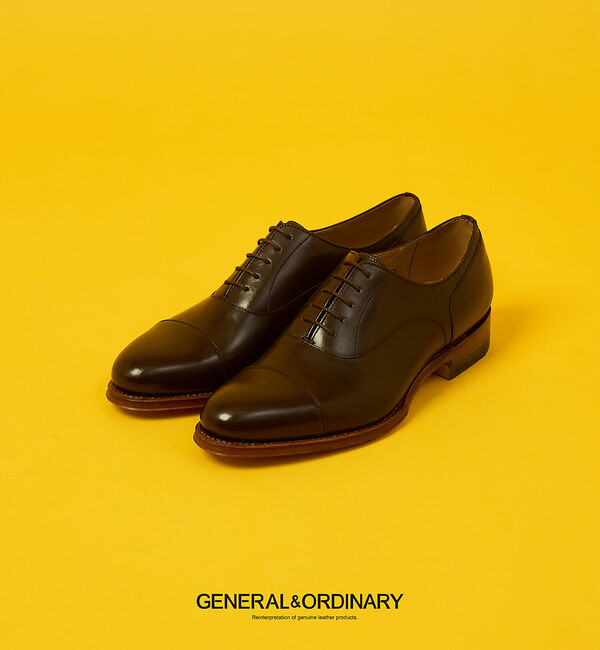 alfredoBANNISTER「【GENERAL&ORDINARY】内羽根ストレートチップシューズ」|ビジネス・ドレスシューズ|ダークブラウン
