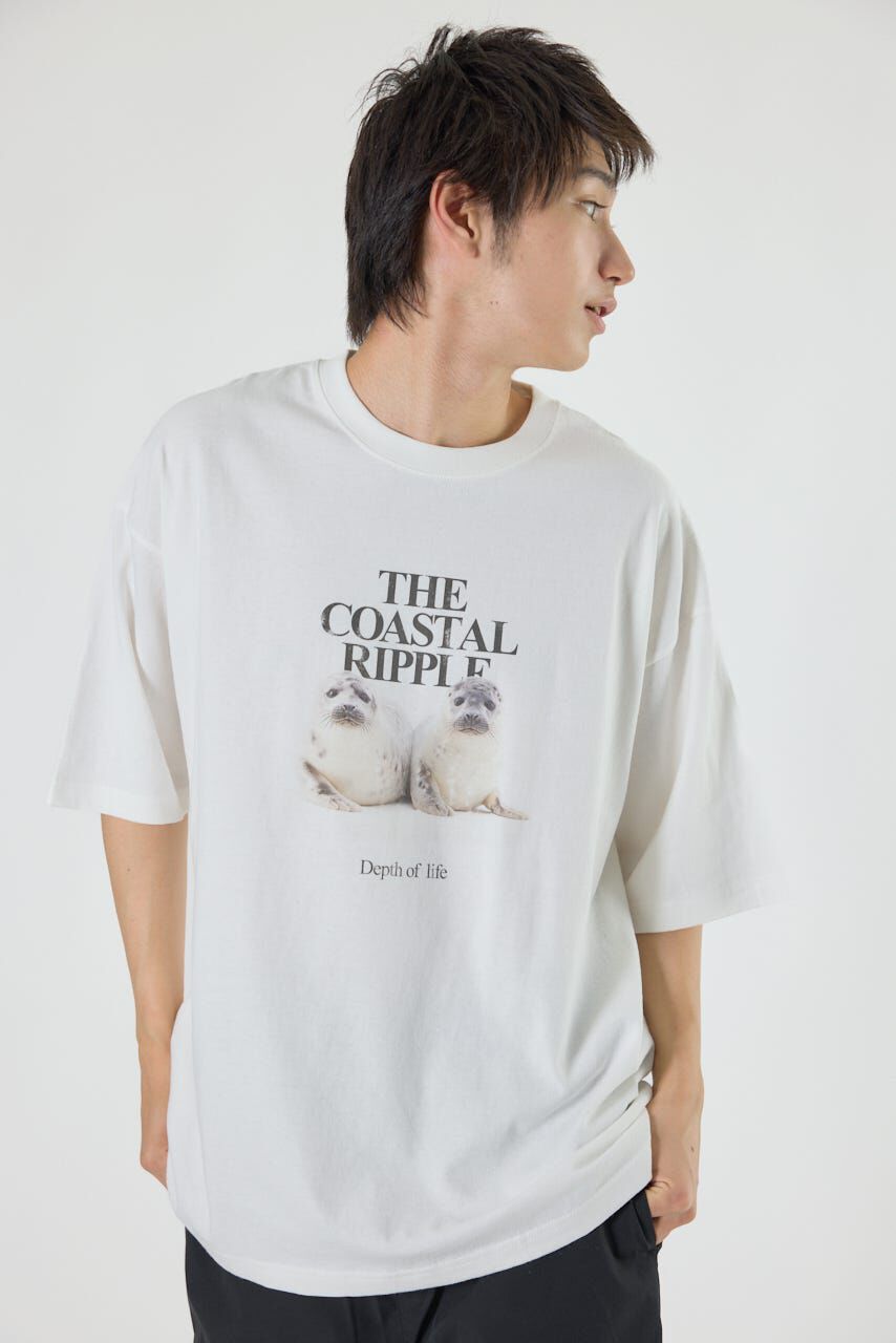 RODEO CROWNS「アニマルフォトTシャツ」|Tシャツ・カットソー|
