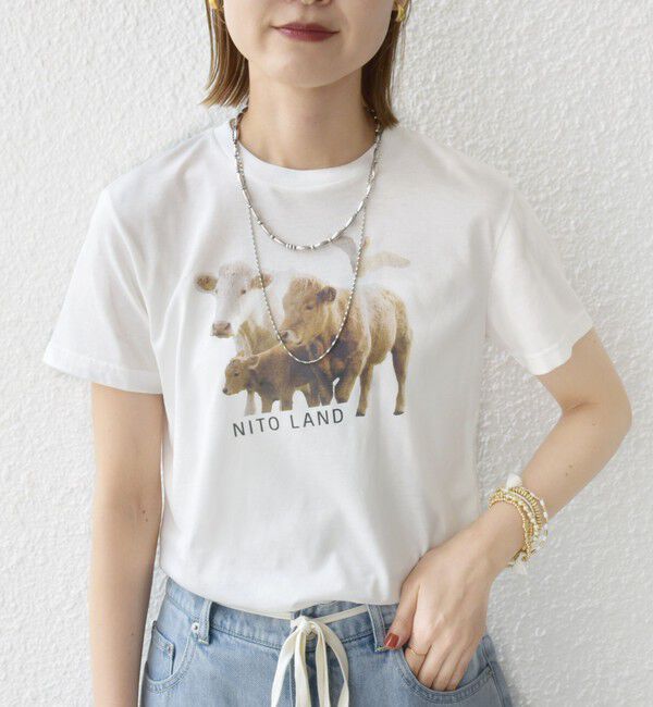 SHIPS for women「【SHIPS別注】ACASAM: フォト TEE」|Tシャツ・カットソー|