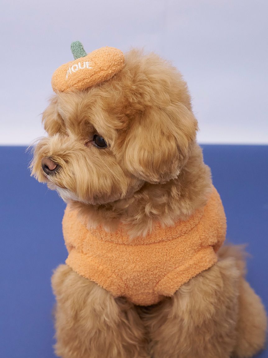  GELATO PIQUE CAT&DOG「【HALLOWEEN】【CAT&DOG】パンプキンヘアクリップ」|その他|