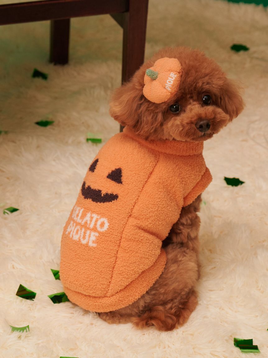 GELATO PIQUE CAT&DOG「【HALLOWEEN】【CAT&DOG】パンプキンヘアクリップ」|その他|