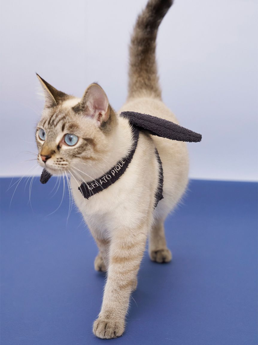  GELATO PIQUE CAT&DOG「【HALLOWEEN】【CAT&DOG】こうもりウイング」|その他|
