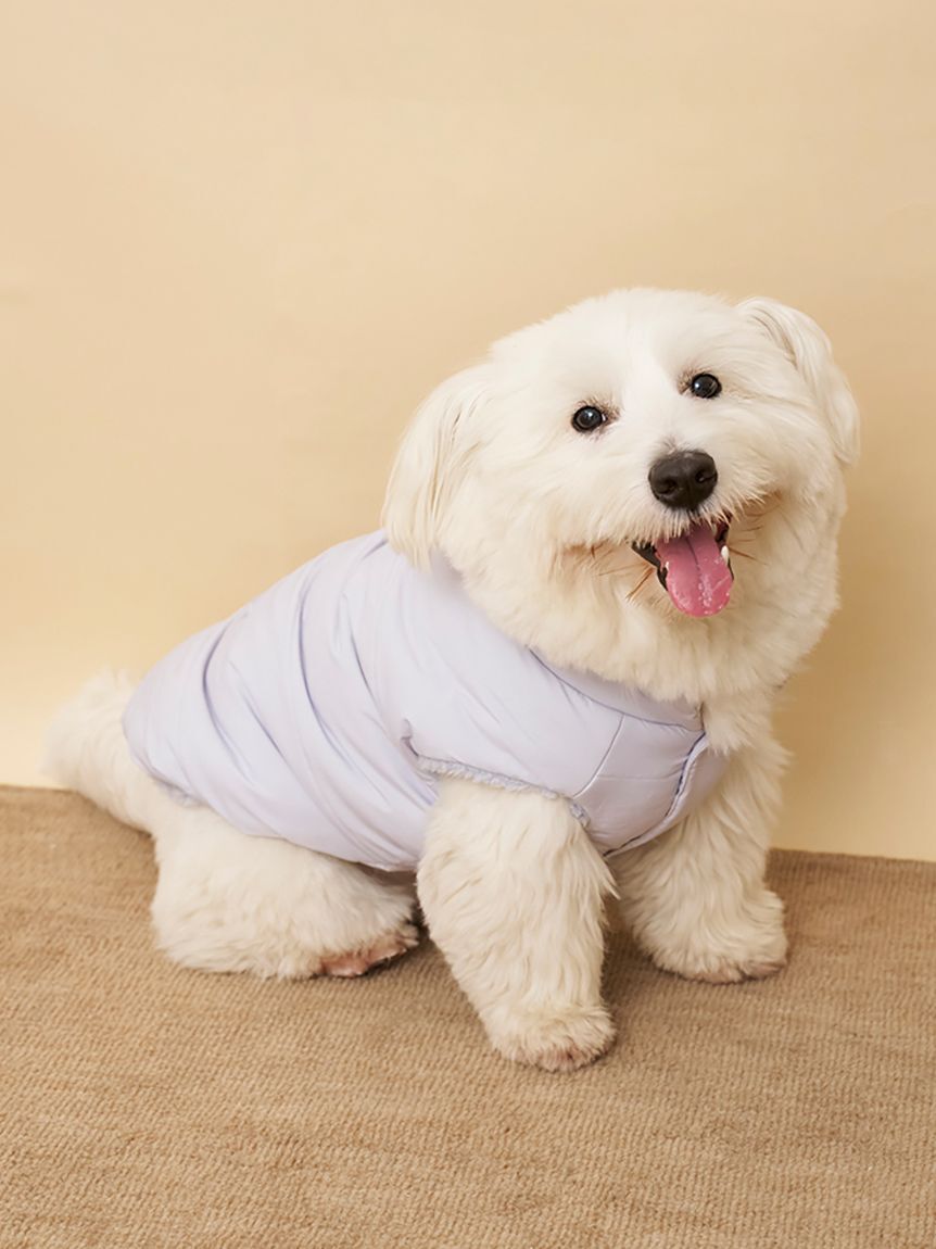  GELATO PIQUE CAT&DOG「【CAT&DOG】ラージサイズ中綿ベスト」|その他|