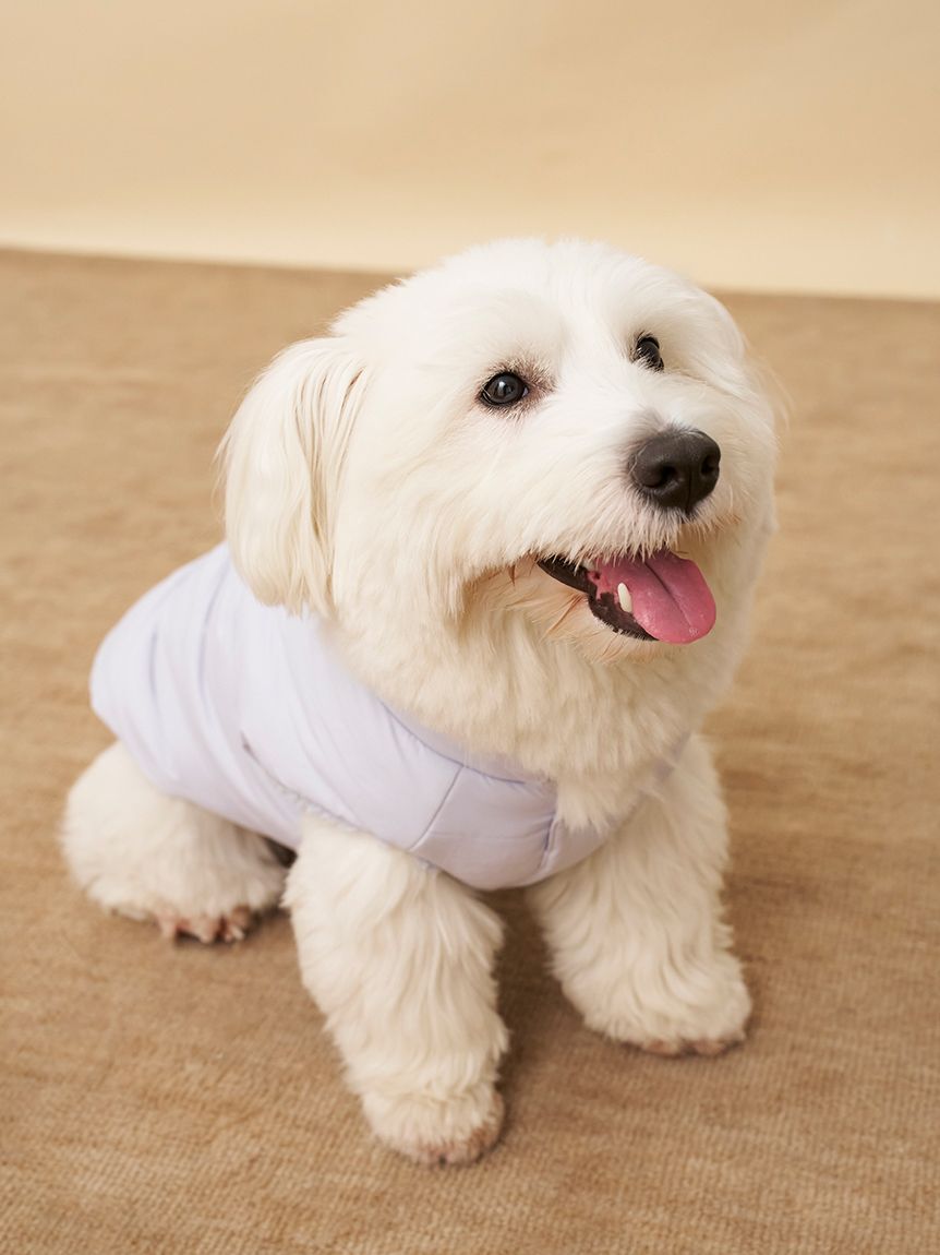  GELATO PIQUE CAT&DOG「【CAT&DOG】ラージサイズ中綿ベスト」|その他|