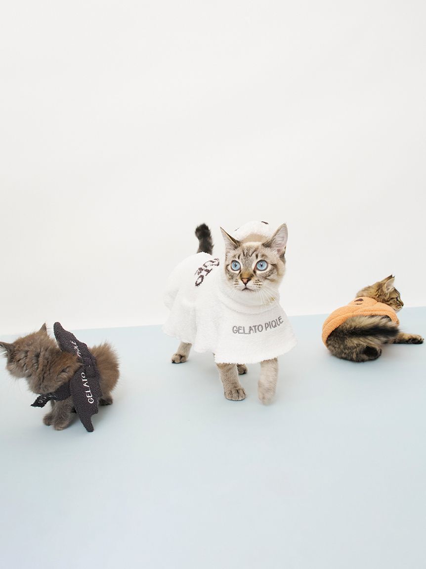  GELATO PIQUE CAT&DOG「【HALLOWEEN】【CAT&DOG】おばけケープ」|その他|