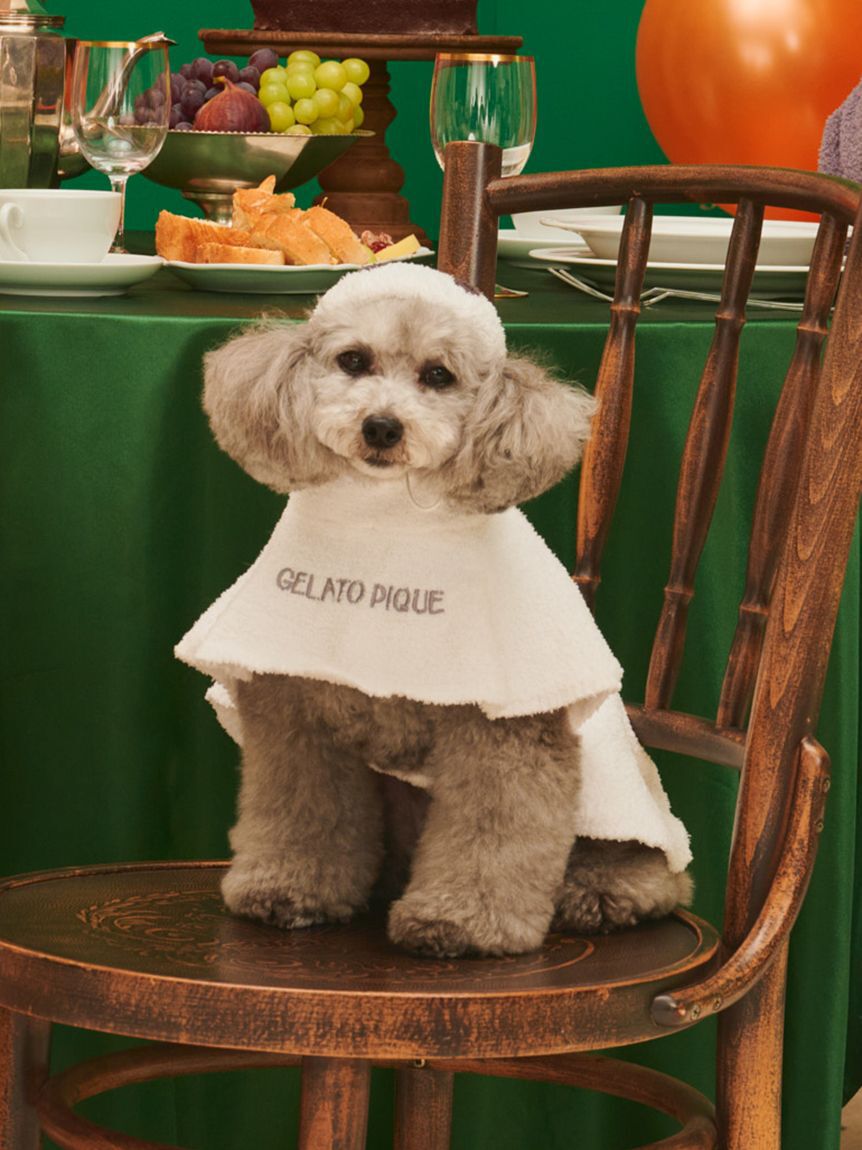  GELATO PIQUE CAT&DOG「【HALLOWEEN】【CAT&DOG】おばけケープ」|その他|