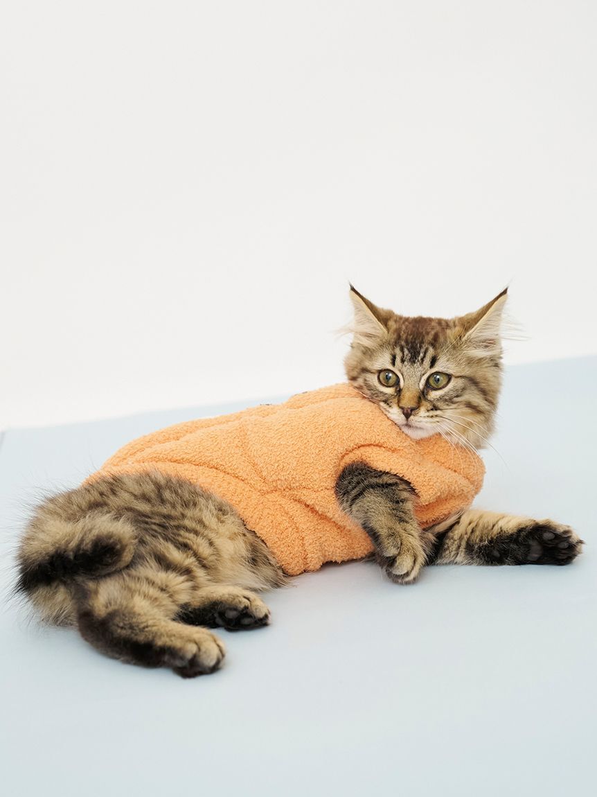  GELATO PIQUE CAT&DOG「【HALLOWEEN】【CAT&DOG】パンプキンプルオーバー」|その他|