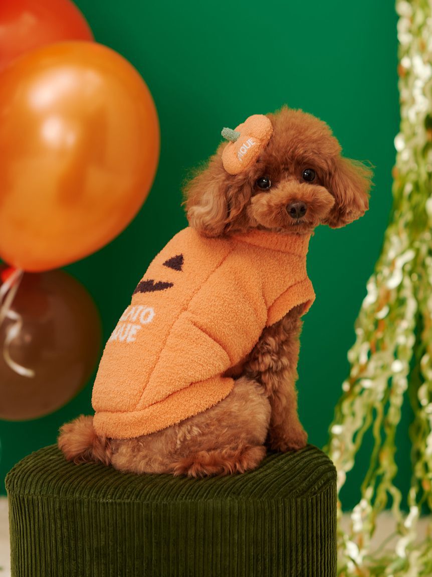  GELATO PIQUE CAT&DOG「【HALLOWEEN】【CAT&DOG】パンプキンプルオーバー」|その他|