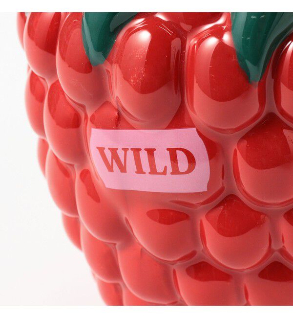 bPr BEAMS「DOIY / RASBERRY フラワーベース」|その他|