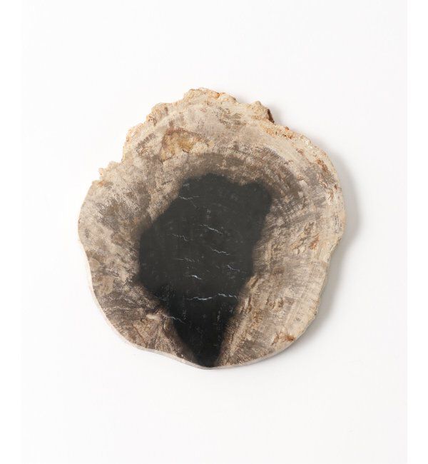 journal standard Furniture「PETRIFIED WOOD PLATE ウッドプレートS」|香水・フレグランス|