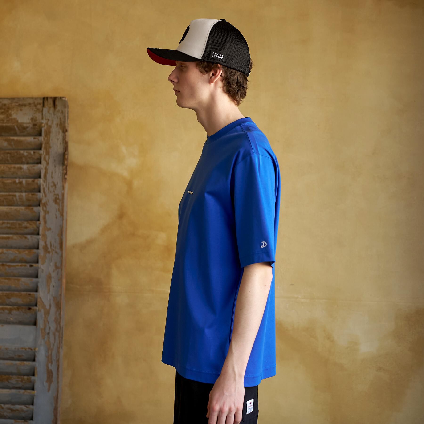 DRESSTERIOR「【接触冷感／抗菌防臭／消臭】ICE CLEAR COTTON NINEストリートTシャツ」|Tシャツ・カットソー|