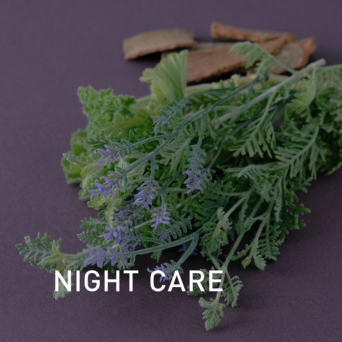 アットアロマ「ロールオンフレグランス ZUTOOL NIGHT CARE 10mL」|アロマ・ルームフレグランス|