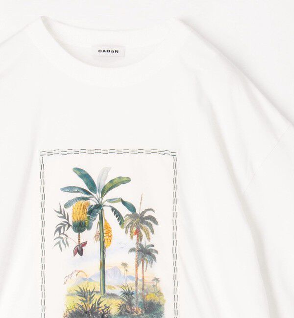 CABaN「スビンコットン TROPICAL HORIZON Tシャツ」|Tシャツ・カットソー|