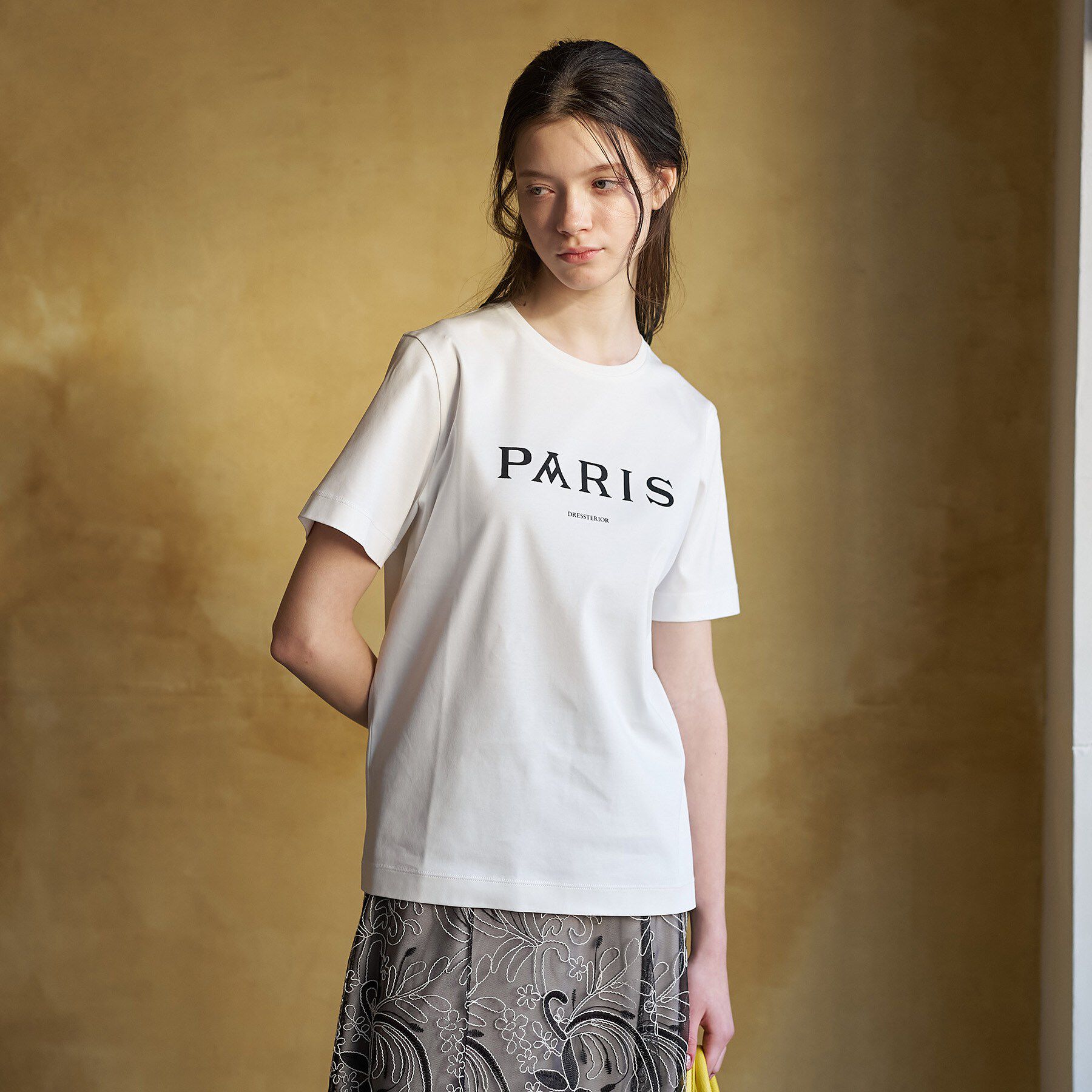 DRESSTERIOR「【接触冷感／抗菌防臭／消臭】アイスクリアコットン PARIS Tシャツ」|Tシャツ・カットソー|