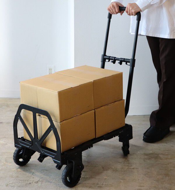 bPr BEAMS「花岡車輌 / FLAT CART 2&times;4 BLACK」|その他|