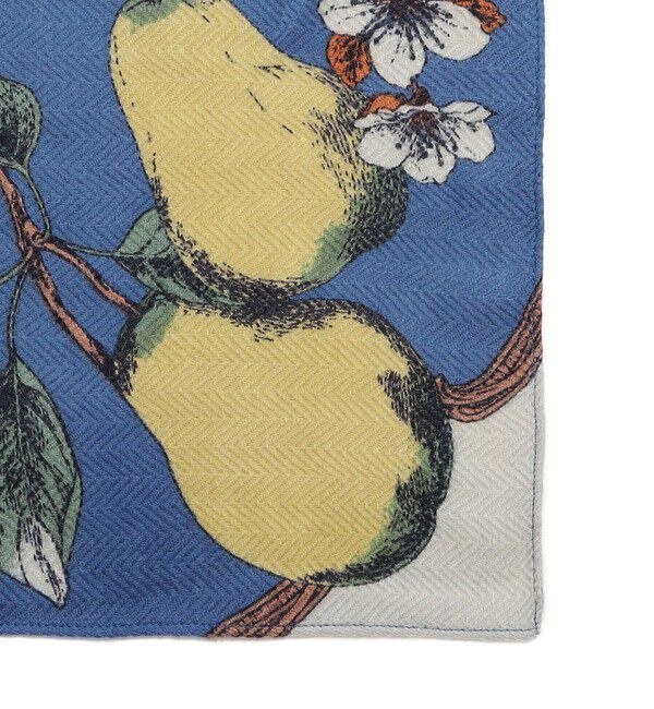 SHIPS for women「manipuri: 120*120 STOLE 26AW」|ストール|