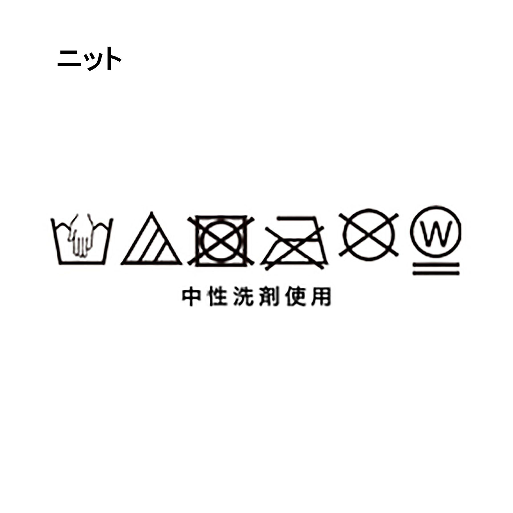 Dessin「【2点セット／洗える】パンツレイヤードワンピース」|ワンピース|