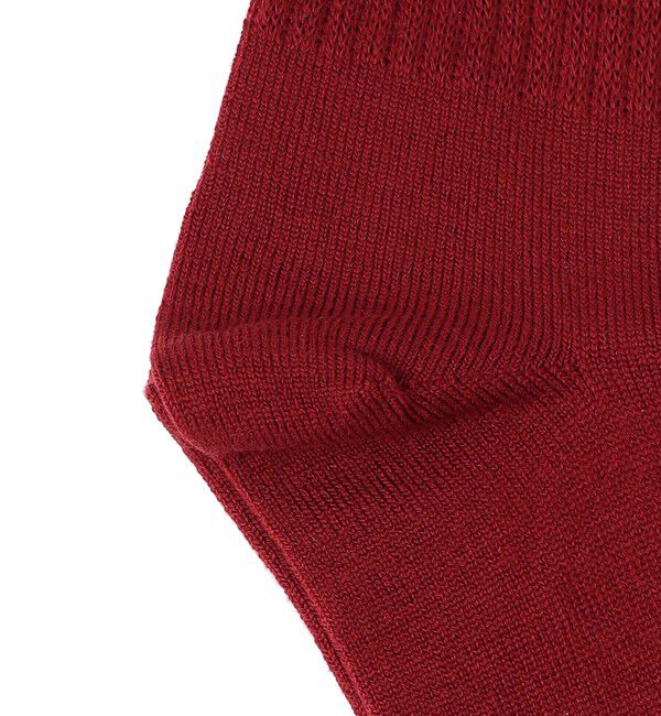 SHIPS for women「Piedi Nudi:リブ ライン ソックス」|ソックス|