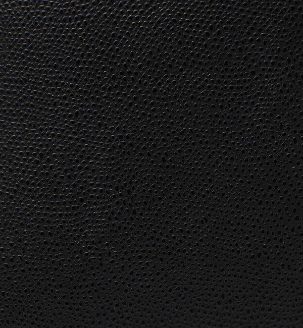 TOMORROWLAND GOODS「CARBOTTI BELLA ハンドバッグ」|その他|