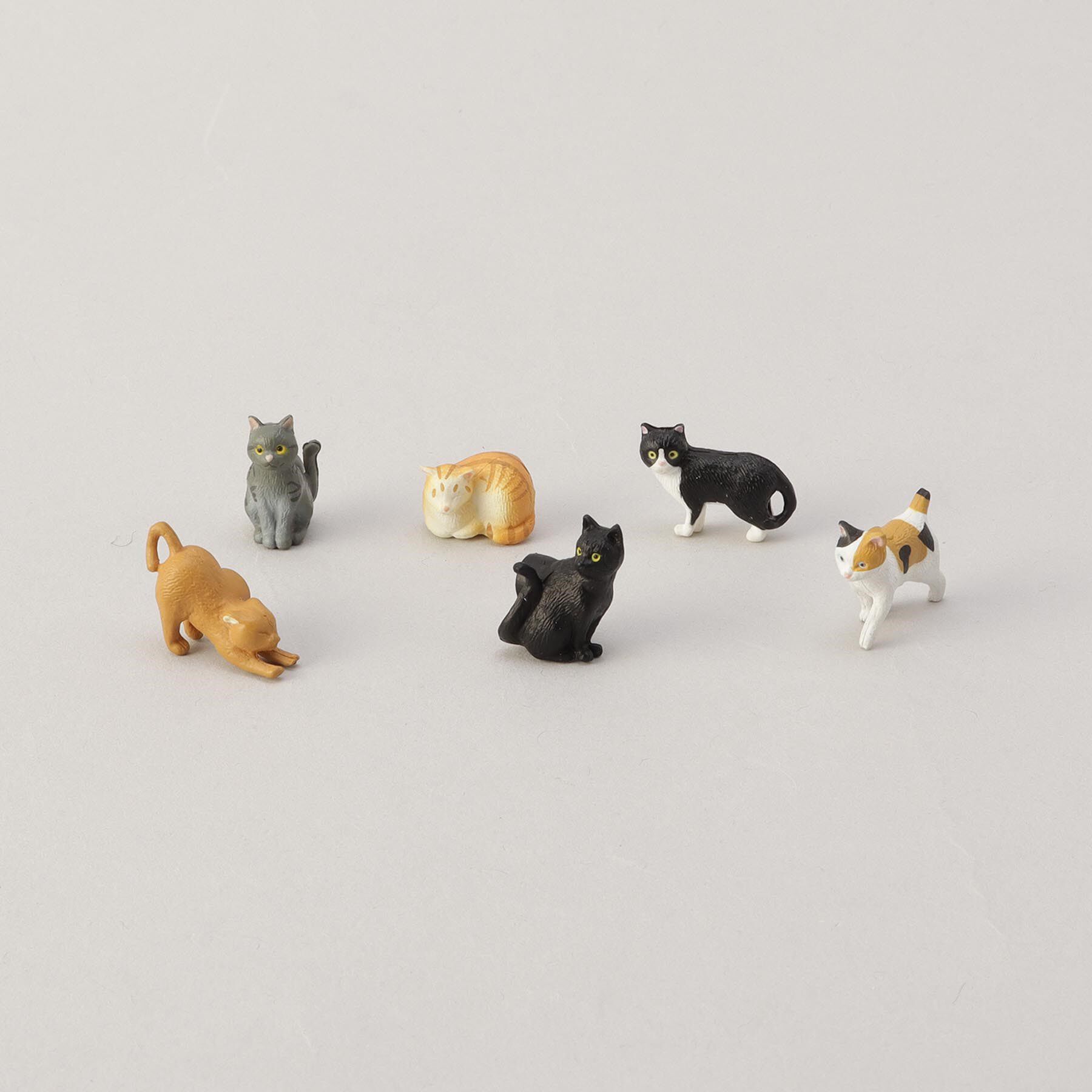 212 KITCHEN STORE「ミニマグネット　６個入　ネコ柄Ｃ」|その他|