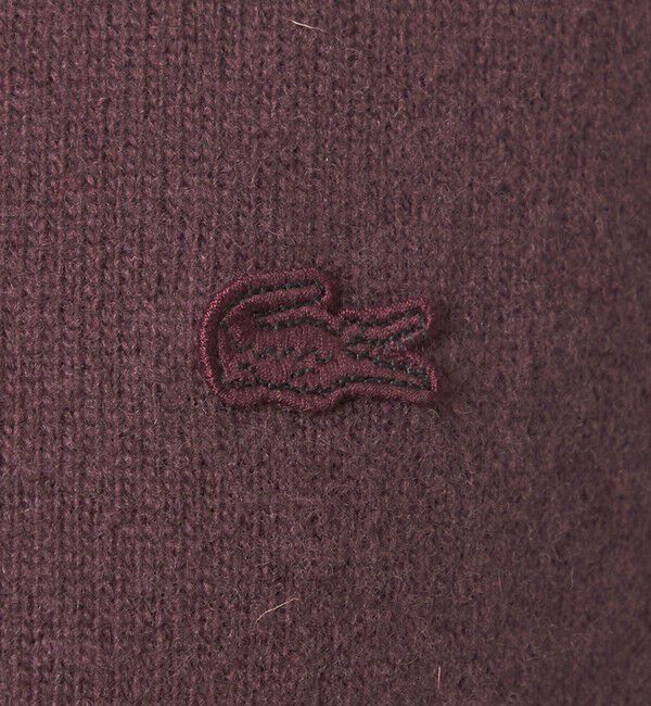 UNITED ARROWS green label relaxing「【別注】＜LACOSTE＞ポロニット」|ニット・セーター|