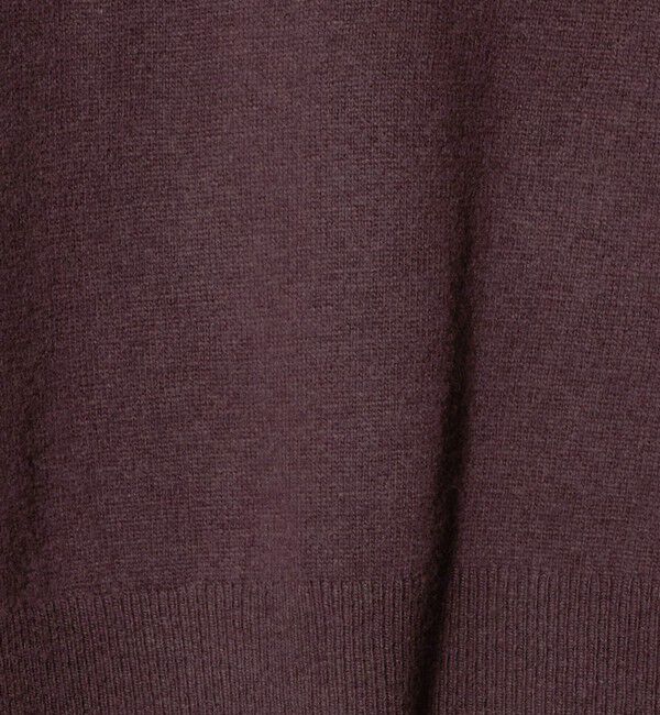 UNITED ARROWS green label relaxing「【別注】＜LACOSTE＞ポロニット」|ニット・セーター|