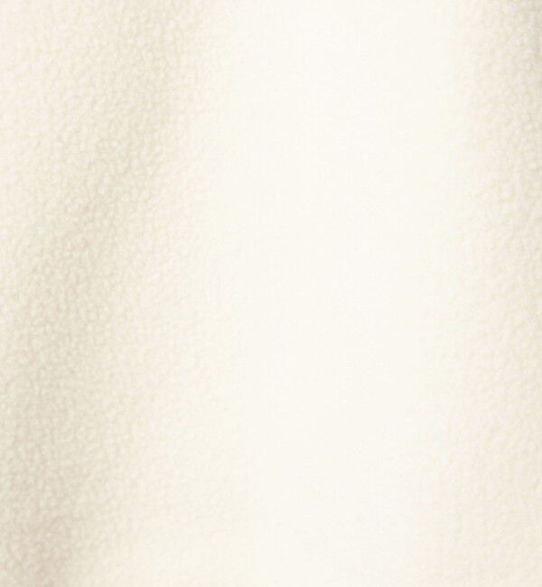 UNITED ARROWS green label relaxing「 【別注】＜LACOSTE＞ フリース ハーフジップ プルオーバー」|Tシャツ・カットソー|