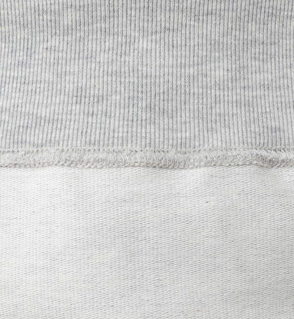 NOLLEY'S goodman「度詰ミニ裏毛ストレッチスウェットフーディー 26AW」|パーカー|