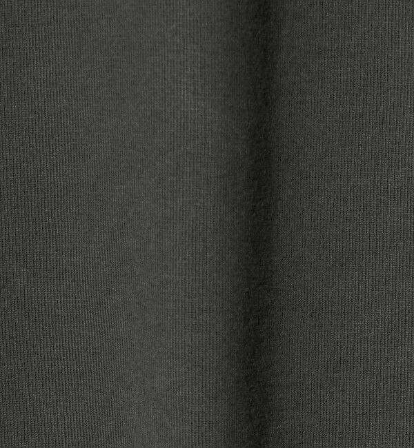 BEAUTY&YOUTH UNITED ARROWS「【WEB限定 WARDROBE SMART】クリア  ガスコットン モックネック カットソー【抗菌・防臭】」|Tシャツ・カットソー|